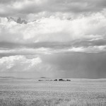 Robert Adams - Ranch Northeast of Keota, Colorado, 1969